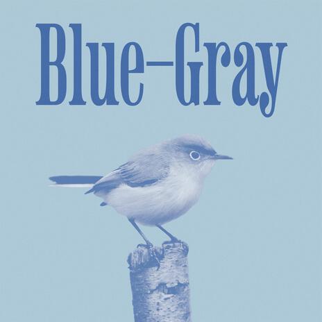 blue-gray | Boomplay Music