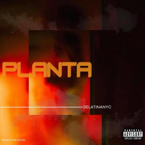 PLANTA | Boomplay Music