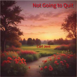 Not Going to Quit lyrics | Boomplay Music