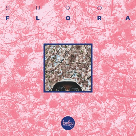 Magnolia | Boomplay Music