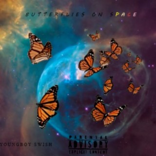 Butterflies on Space
