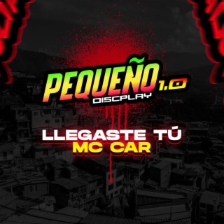 Llegaste Tu Mc Car En Vivo Djmemin ft Djprecioso Video Concierto 1.0 (En vivo)