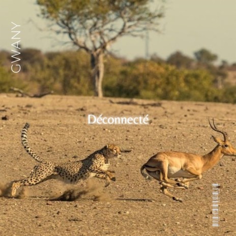 Déconnecté | Boomplay Music