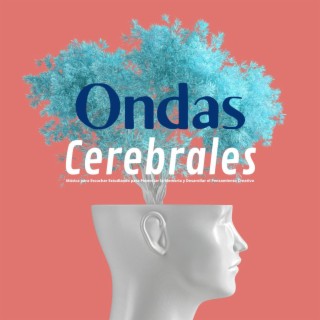 Ondas Cerebrales: Música para Escuchar Estudiando para Potenciar la Memoria y Desarollar el Pensamiento Creativo