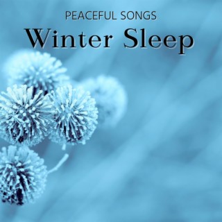 Winter Sleep Peaceful Songs: Sweet Dreams Healing Music for Sleeping Under a Warm Duvet