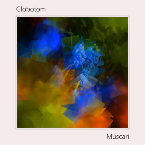 Muscari | Boomplay Music