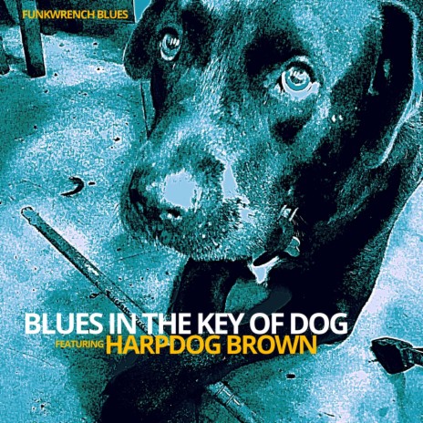 Blues In The Key Of Dog ft. Harpdog Brown | Boomplay Music