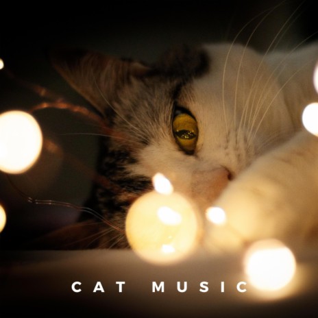 Cat Music Therapy