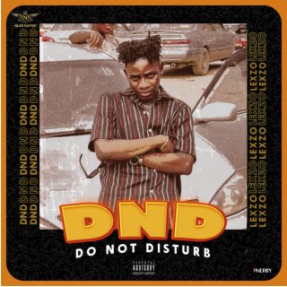 DND (Do Not Disturb)