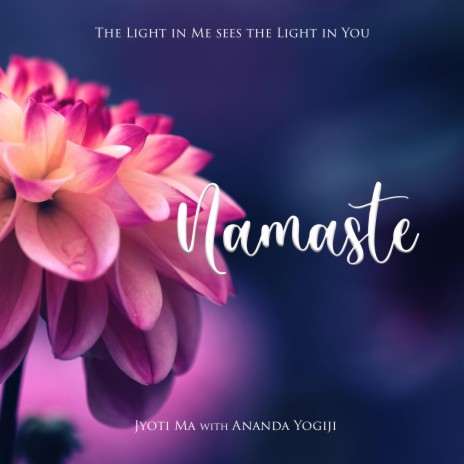 Namaste (The Light in Me Sees the Light in You) ft. Ananda Das | Boomplay Music
