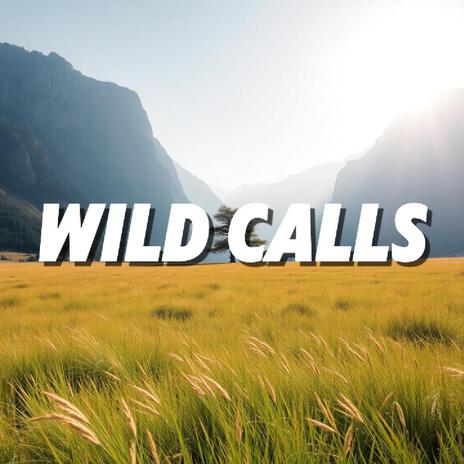 Wild Calls | Boomplay Music