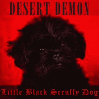 Little Black Scruffy Dog