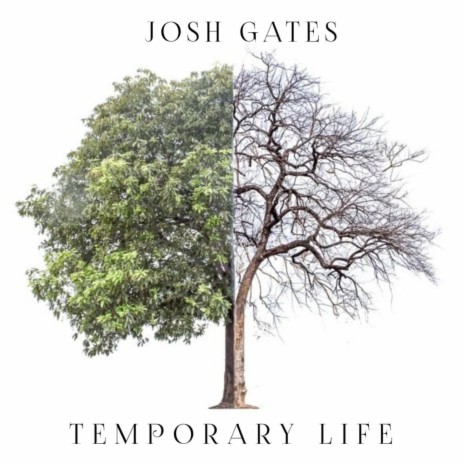 Temporary Life | Boomplay Music