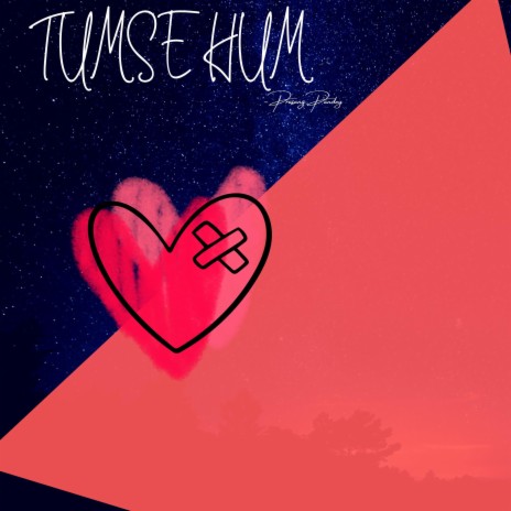 Tumse Hum | Boomplay Music