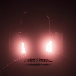 i wish i knew... (slowed + verb)