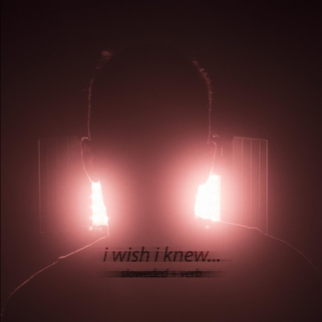 i wish i knew... (slowed + verb) ft. QU | Boomplay Music