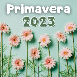 Primavera 2023: Mezcla para Relajarse