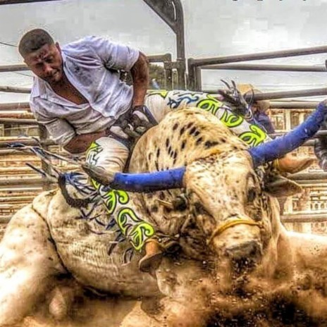 Las Mas Perras Del Jaripeo, Vol. 8