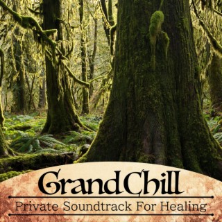 Private Soundtrack for Healing