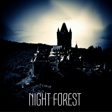 Night Forest | Boomplay Music