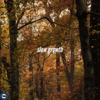 slow growth