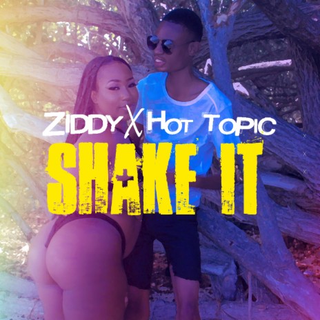 Shake It ft. Ziddy | Boomplay Music