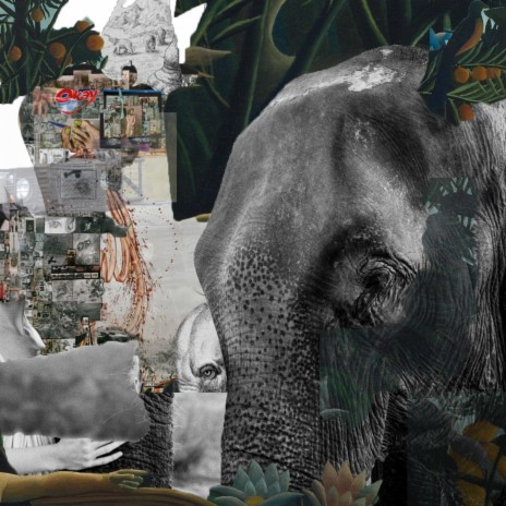 Elephant (2024 Mix) | Boomplay Music