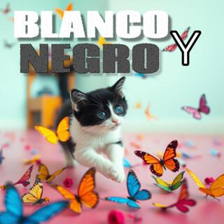 Blanco y Negro