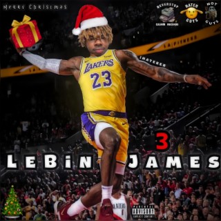 Lebin James 3