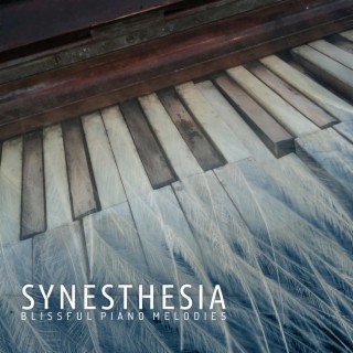Synesthesia, Blissful Piano Melodies