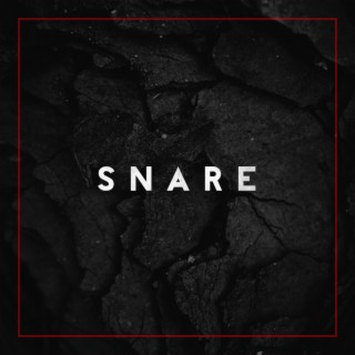 Snare