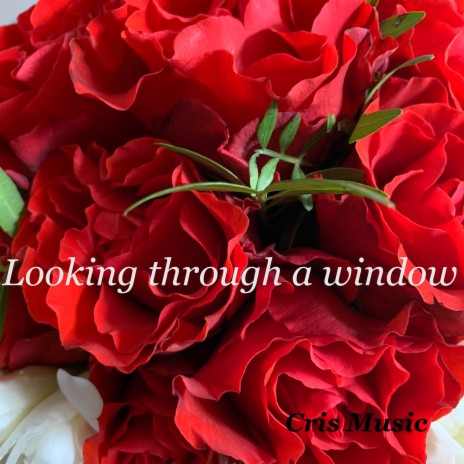 Looking Through a Window | Boomplay Music