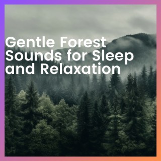 Gentle Forest Sounds for Sleep and Relaxation