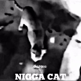 nigga cat drill