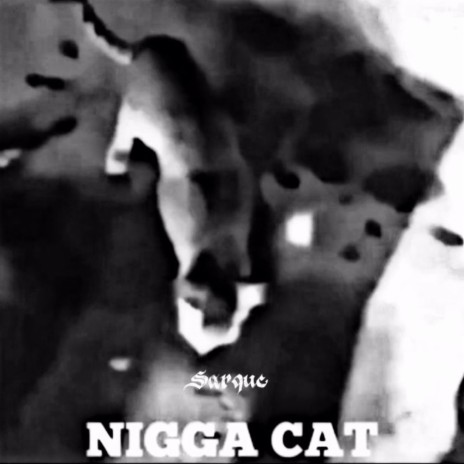 nigga cat drill | Boomplay Music