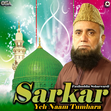 Saye Mein Tumhare Hain | Boomplay Music