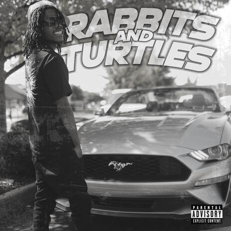 Rabbits and Turtles | Boomplay Music