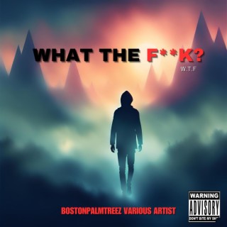 What the fuck lyrics | Boomplay Music