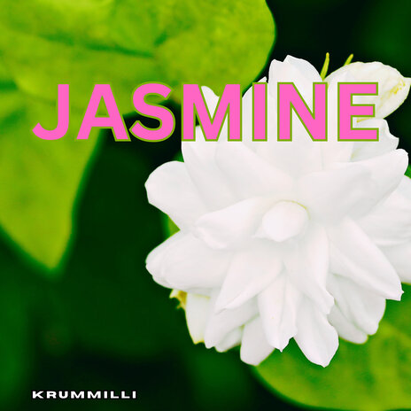 Jasmine | Boomplay Music