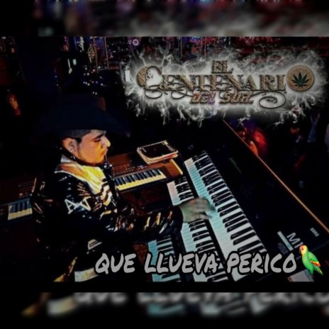 Que llueva perico | Boomplay Music