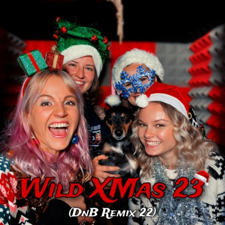 WILD XMAS 23 (DnB Remix 22) | Boomplay Music