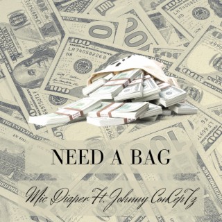 Need a Bag