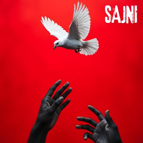 Sajni | Boomplay Music