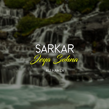 Sarkar Jeya Sohna | Boomplay Music