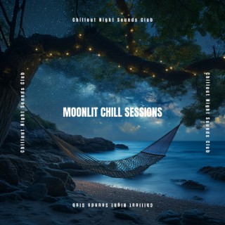 Moonlit Chill Sessions