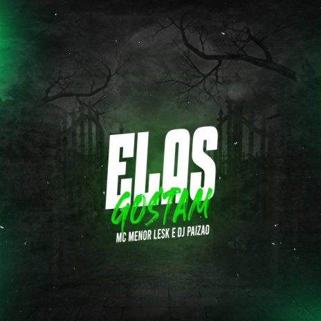 Elas Gostam ft. Dj Paizão | Boomplay Music