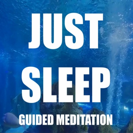 Just Sleep (Guided Meditation) | Boomplay Music