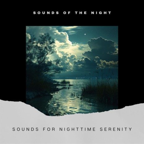 Night Sleeping Sounds ft. Night Sounds & Forest at Night Sounds | Boomplay Music