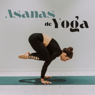 Asanas de Yoga: Música Meditativa de Concienciación y Canciones Buda para Relajarse