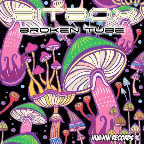 Broken Tube | Boomplay Music